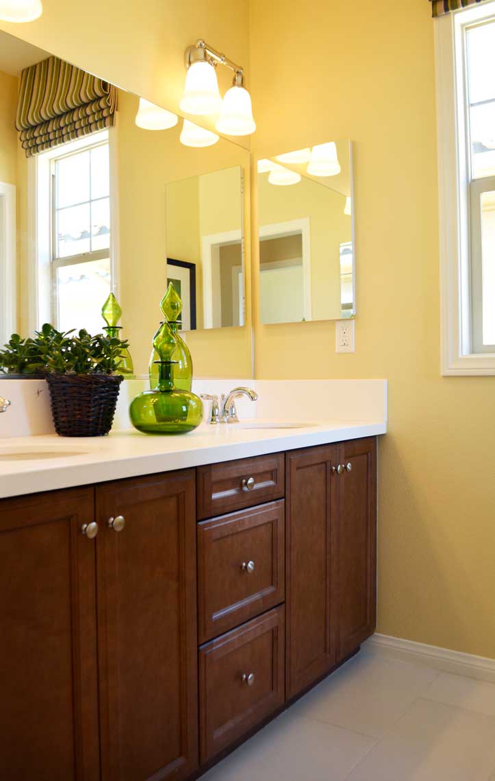 Standard Homes Carrillo at Del Sur